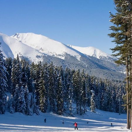 Skiing, Walking, Enjoying In Mountains Банско Экстерьер фото