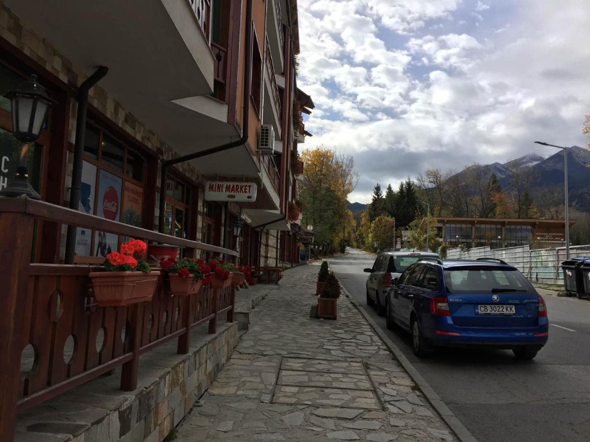 Skiing, Walking, Enjoying In Mountains Банско Экстерьер фото
